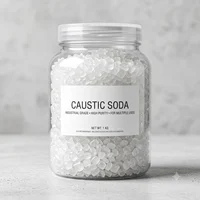Caustic Soda