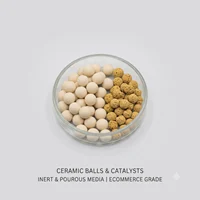 Ceramic Balls & Catalysts